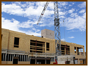 Commercial Development and Project Management